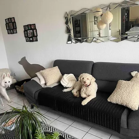 Avec Vue Panoramique Sur La Cite Medievale B&B 3*